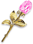 Gif animé bijoux broche